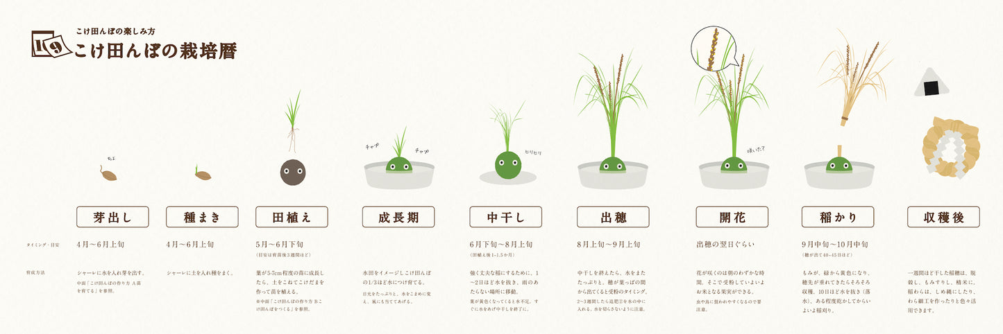 こけ田んぼキット(種籾:いろいろ米)