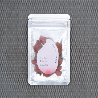 はるに、あえる。｜八重の塩桜