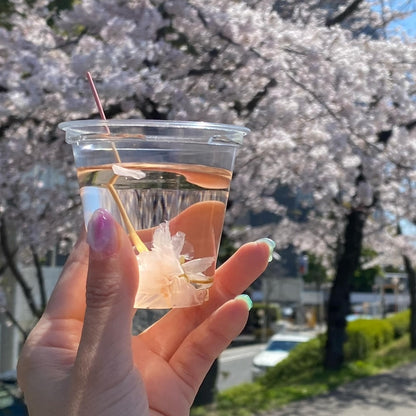 はるに、あえる。｜八重の塩桜