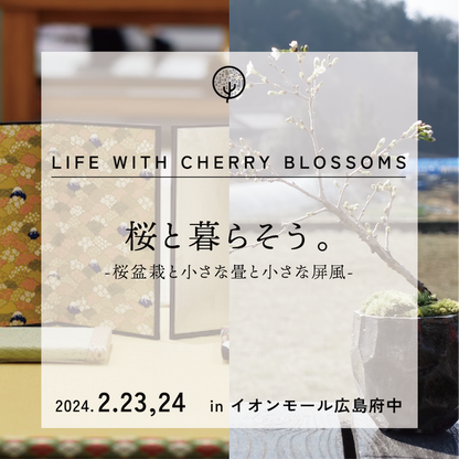 2/23,24(金・祝、土)LIFE WITH CHERRY BLOSSOMS 桜と暮らそう-桜盆栽と小さな畳と小さな屏風- @イオンモール広島府中