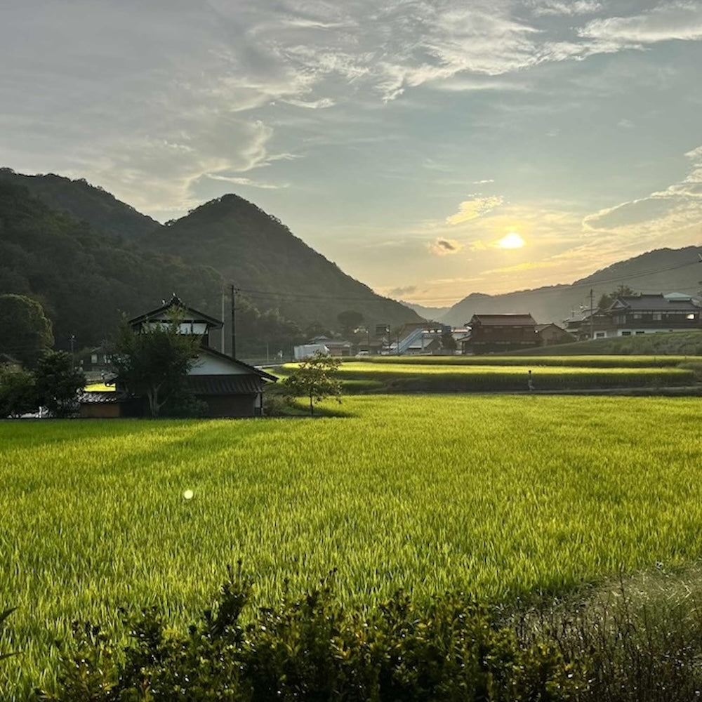 ひろしま二十四節気めぐり – SATOMACHI