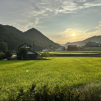 ひろしま二十四節気めぐり