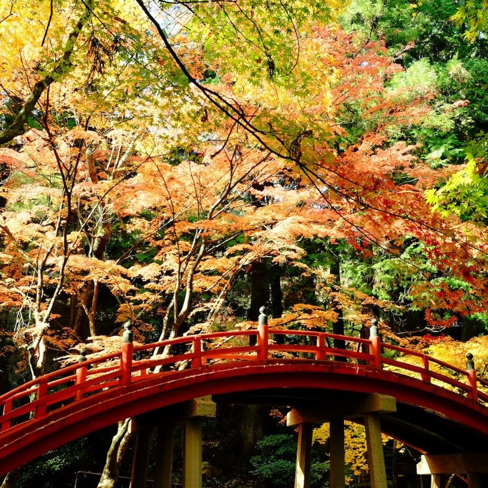 ひろしま二十四節気めぐり