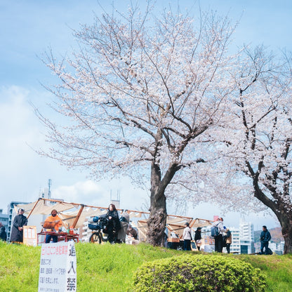 4/4+5(土+日) さくらとひろしま2026＠ゲートパーク横の川辺