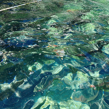 【満員御礼】火を囲み、冬を味わう。芸北サーモンの炊き込みごはん。｜きせつのたきこみ教室 ～一粒一菜～ #02@基町・River Do!フィールド（11.16）