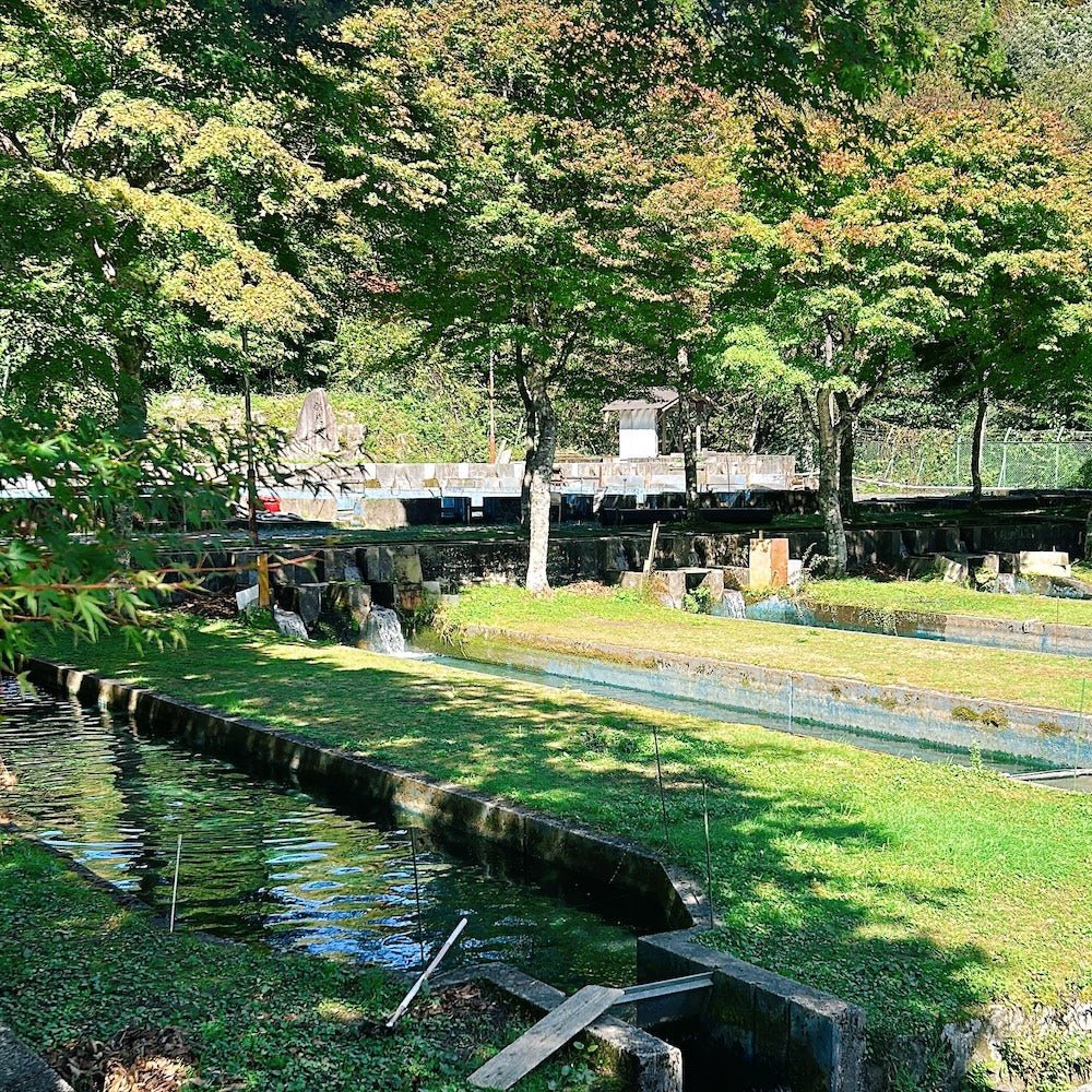 【満員御礼】火を囲み、冬を味わう。芸北サーモンの炊き込みごはん。｜きせつのたきこみ教室 ～一粒一菜～ #02@基町・River Do!フィールド（11.16）