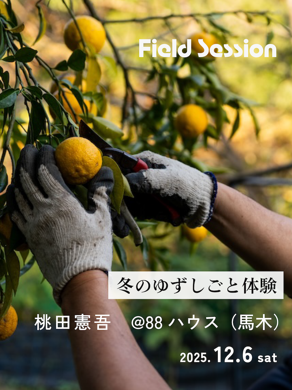 Field Session｜冬のゆずしごと体験 @88ハウス・馬木（12.6sat）