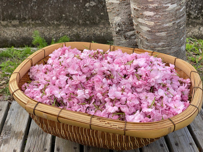 はるに、あえる。｜八重の塩桜